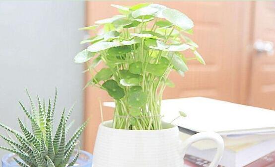 �ό��k�����b��