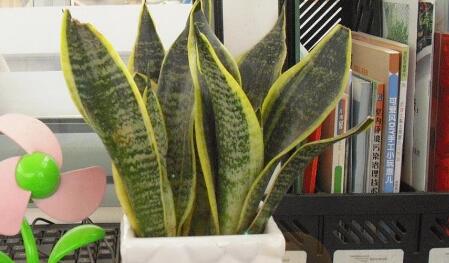 �ό��k�����b��