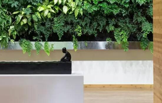 �ό��k���ǿ��g�OӋ