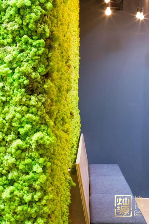 ���I(y��)�L(f��ng)�k�����O(sh��)ӋЧ���D